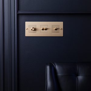 BP EU Electricity 3G Dimmer Toggle Switch Custom Brass LS HR v2